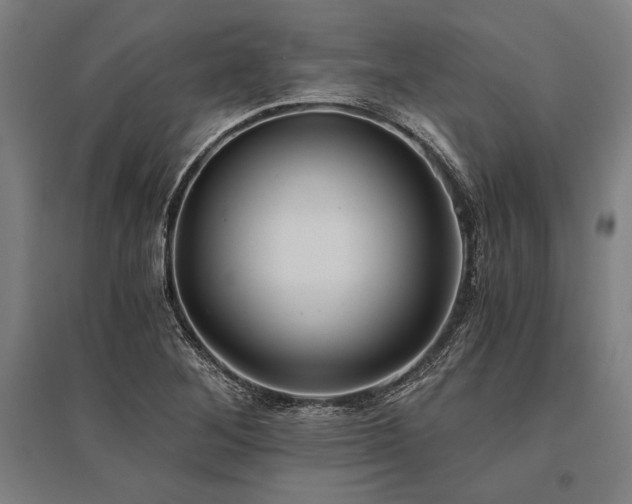 X0000096181268200801181304