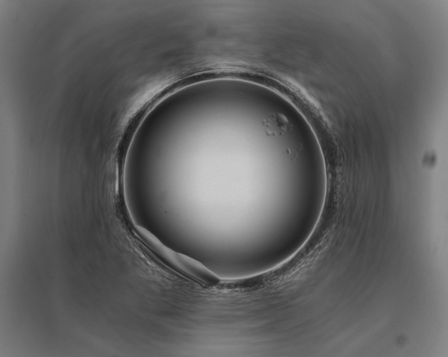 X0000096181269200801181304