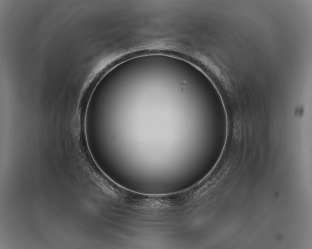 X0000096181270200801181304