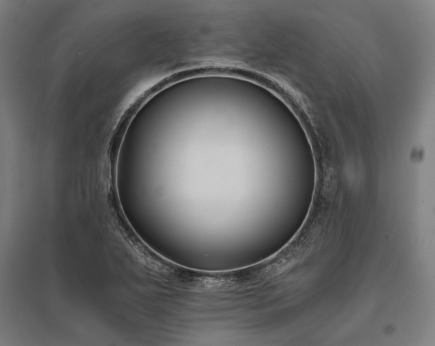 X0000096181271200801181304