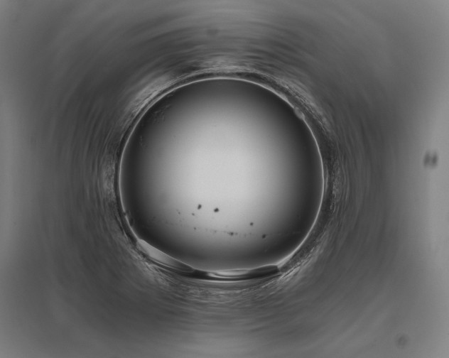 X0000096181273200801181304