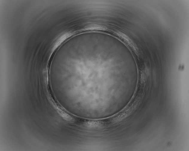 X0000096181274200801181304
