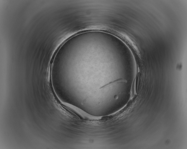 X0000096181276200801181304