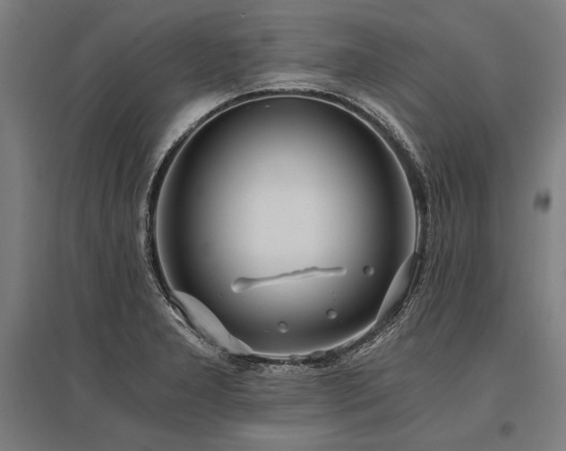 X0000096181277200801181304