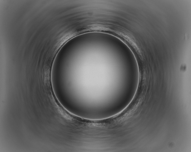 X0000096181281200801181304