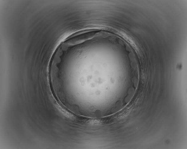 X0000096181283200801181304