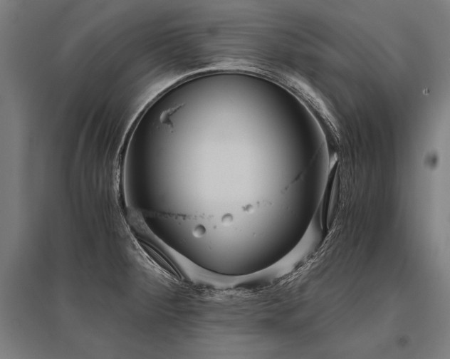 X0000096181284200801181304