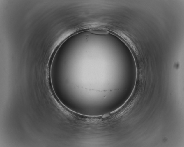 X0000096181285200801181304