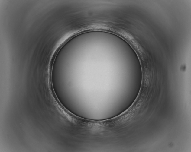 X0000096181286200801181304