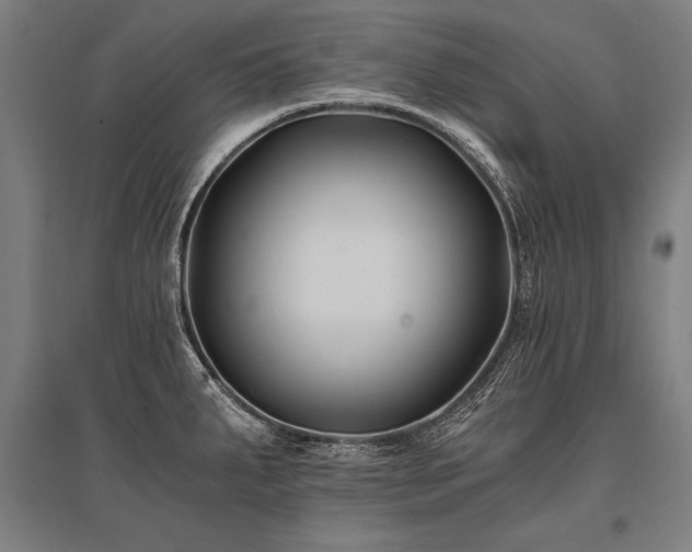 X0000096181287200801181304