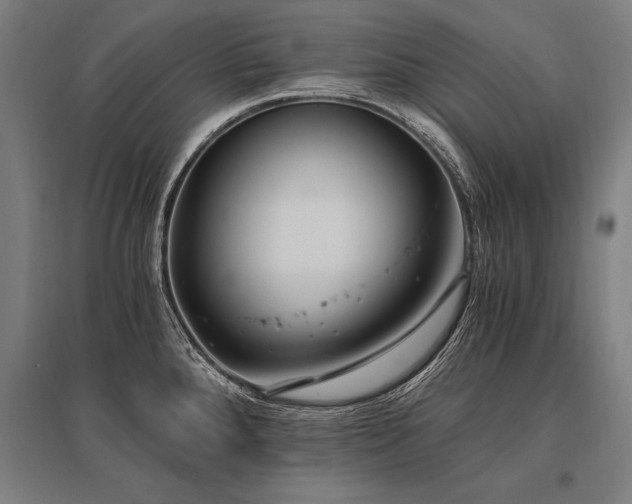 X0000096181288200801181304