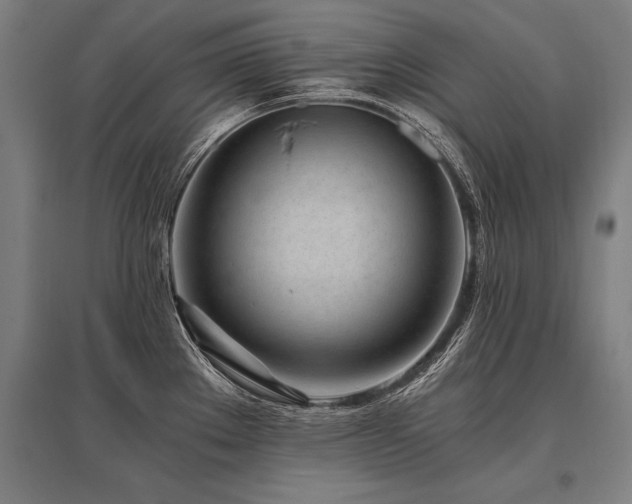 X0000096181289200801181304