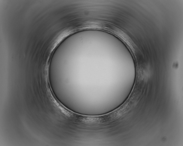 X0000096181290200801181304