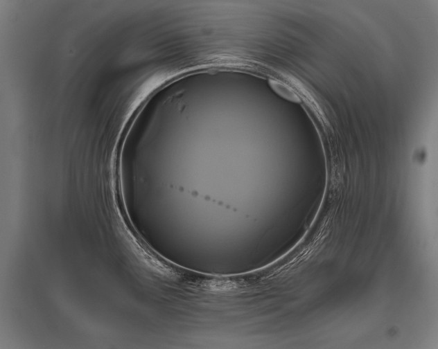 X0000096181291200801181304