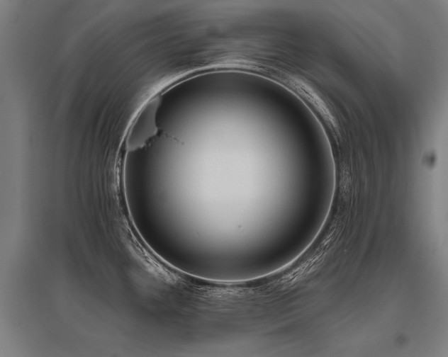 X0000096181292200801181304