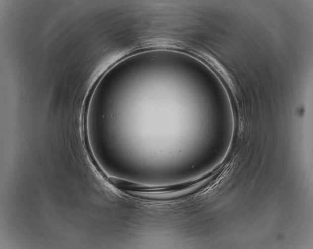 X0000096181293200801181304