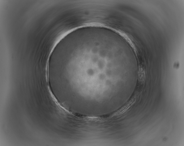 X0000096181295200801181304