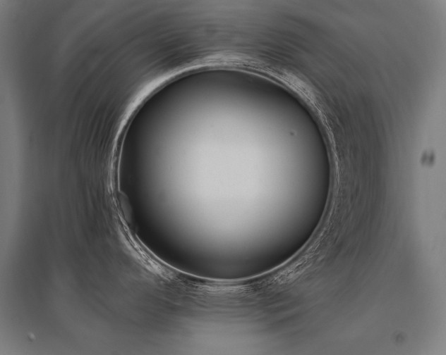 X0000096181296200801181304