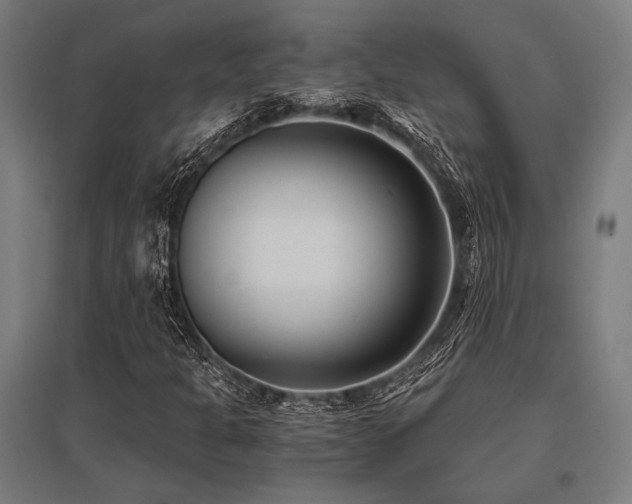 X0000096181301200801181303