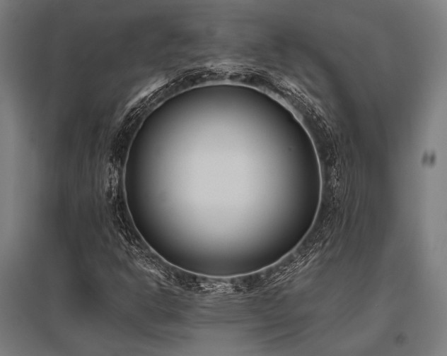 X0000096181302200801181303