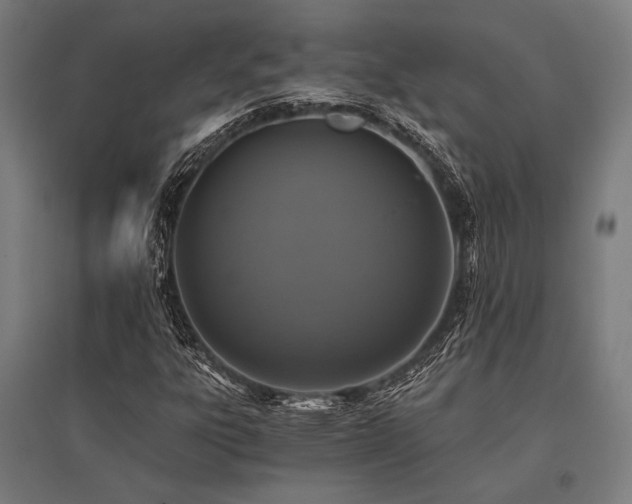 X0000096181303200801181303