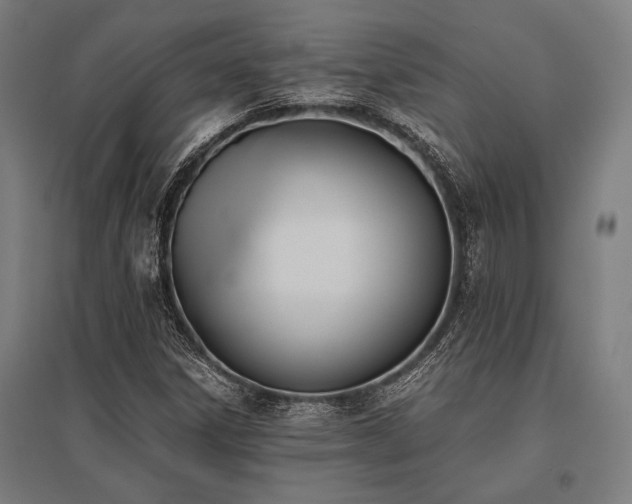 X0000096181306200801181303