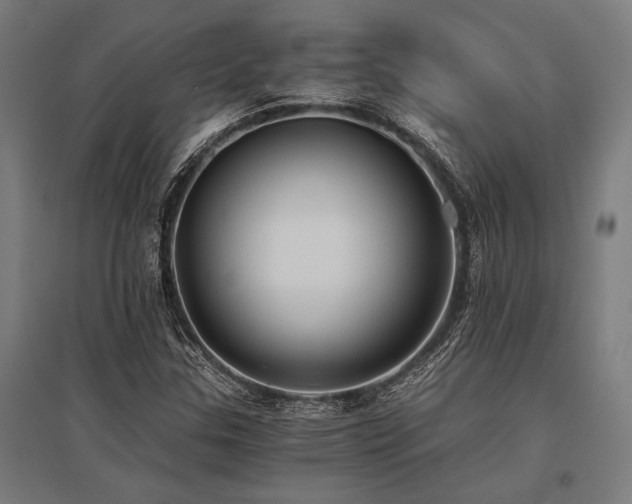 X0000096181307200801181304