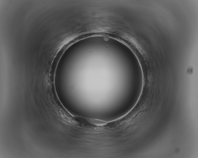 X0000096181308200801181304