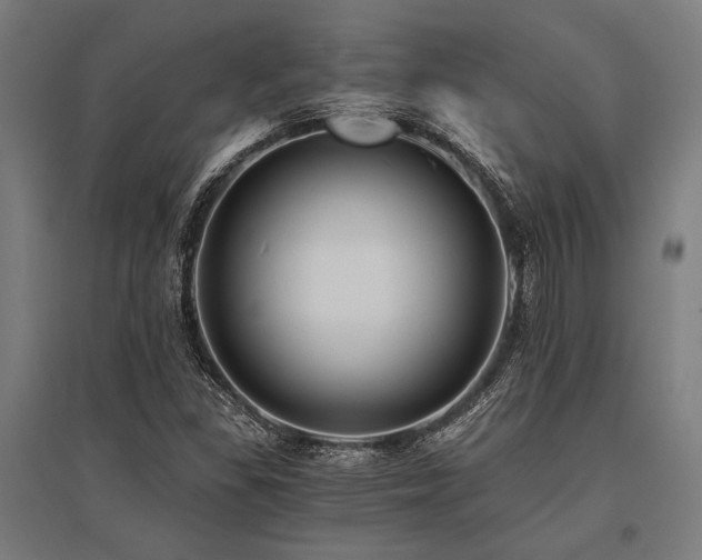 X0000096181309200801181304