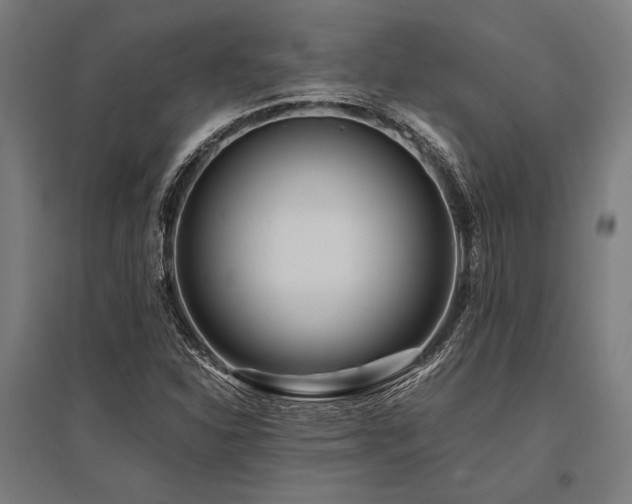 X0000096181310200801181304