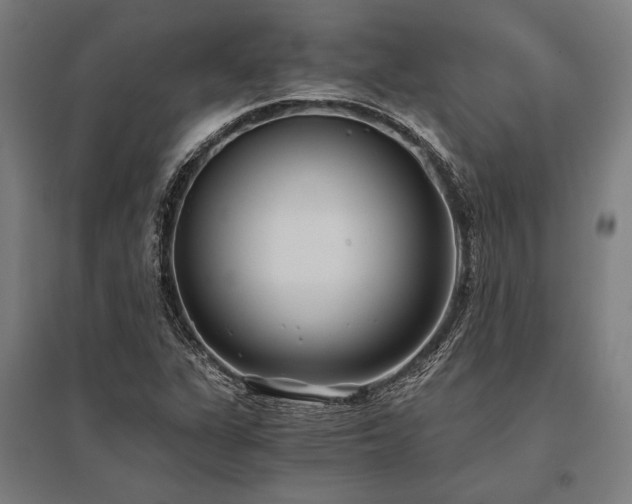 X0000096181311200801181304
