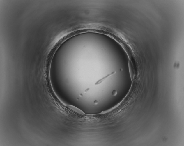 X0000096181312200801181304