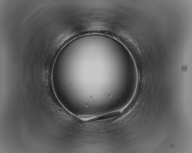 X0000096181313200801181304