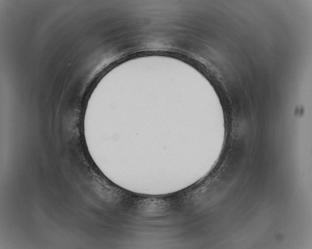 X0000096181314200801181304