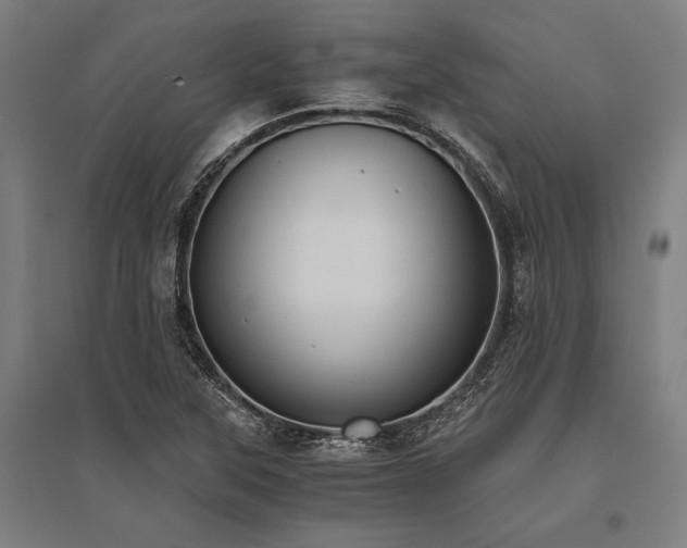 X0000096181315200801181304