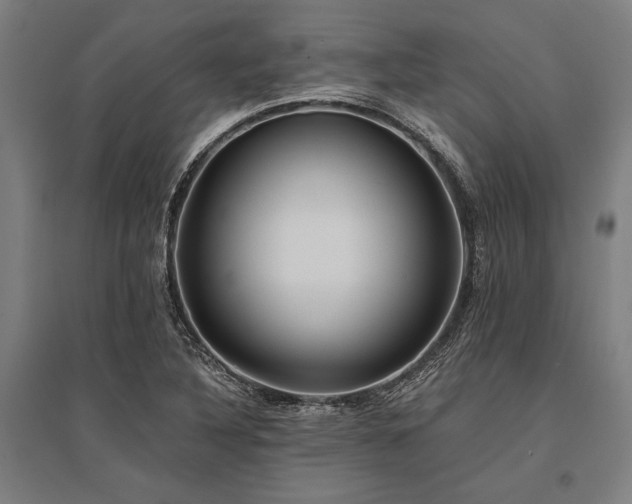 X0000096181316200801181304