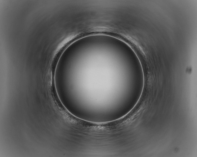 X0000096181317200801181304