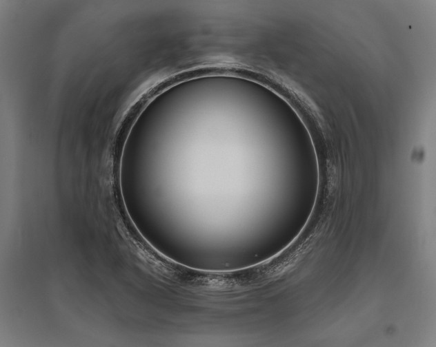 X0000096181318200801181304