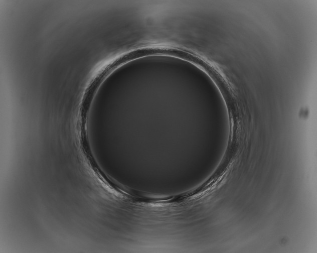 X0000096181319200801181304