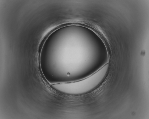 X0000096181320200801181304