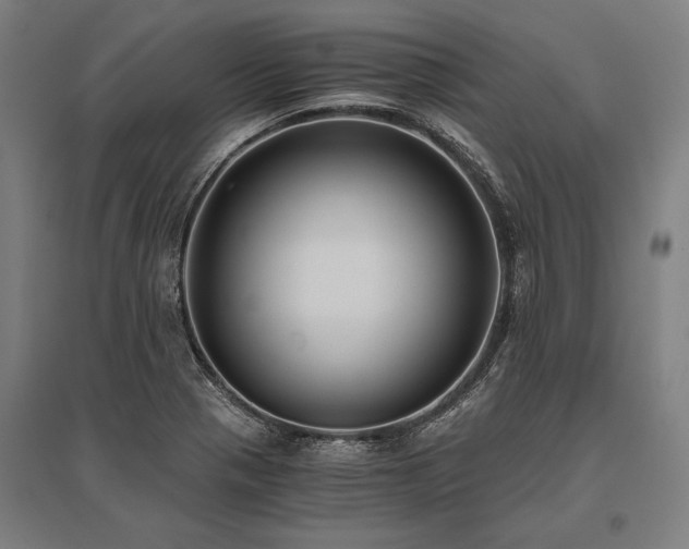 X0000096181321200801181304