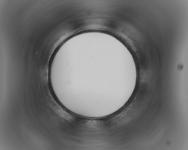 X0000096181322200801181304
