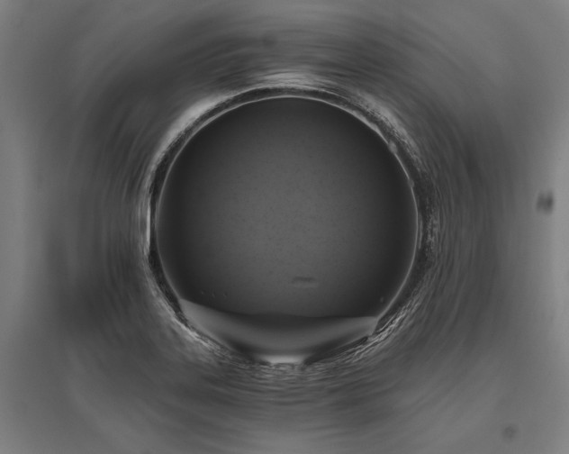 X0000096181323200801181304