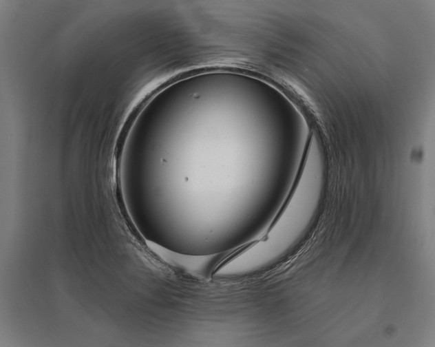 X0000096181324200801181304