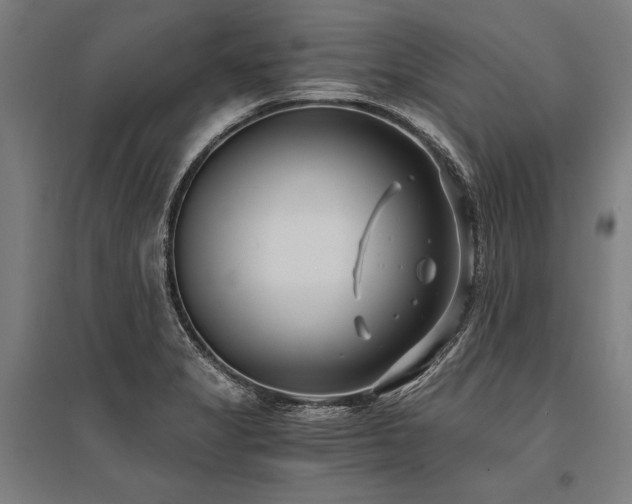 X0000096181325200801181304