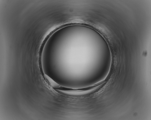 X0000096181326200801181304