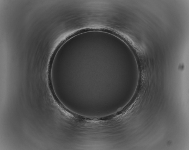 X0000096181327200801181304