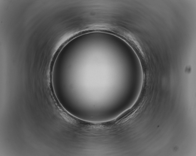 X0000096181328200801181304