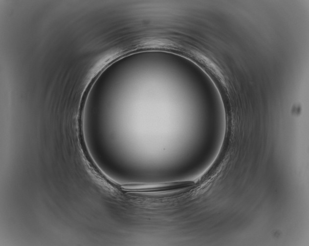 X0000096181330200801181304