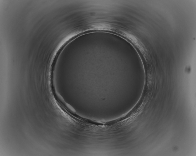 X0000096181331200801181304